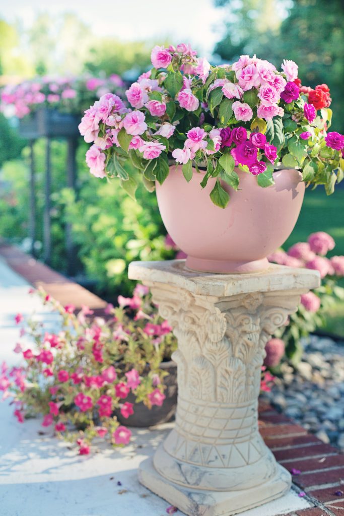 Pink and red roses in a pot on a pedestal.
